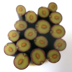 Image of Plum MultiCane