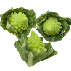 Image of Romanesco Mould