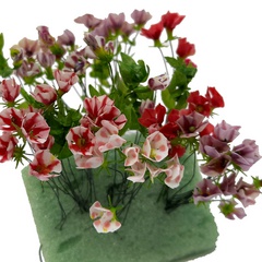 Image of Petunia Stencil