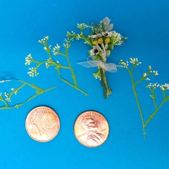 Image of Gypsophila Stencil