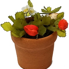 Image of Strawberry Pot Small