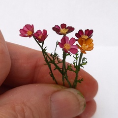 Image of Cosmos Stencil