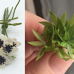 Image of Hellebore Stencil