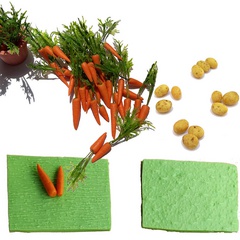 Image of Carrot and potato texture plate