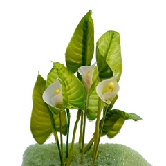 Image of <b>NEW:</b> Calla Lily Stencils