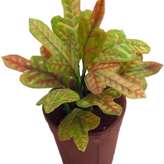 Image of <b>NEW:</b> Croton 2 oakleaf stencils