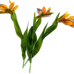 Image of <b>NEW:</b> Bird Of Paradise stencils