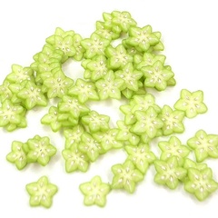 Image of Star Fruit Slices Pack